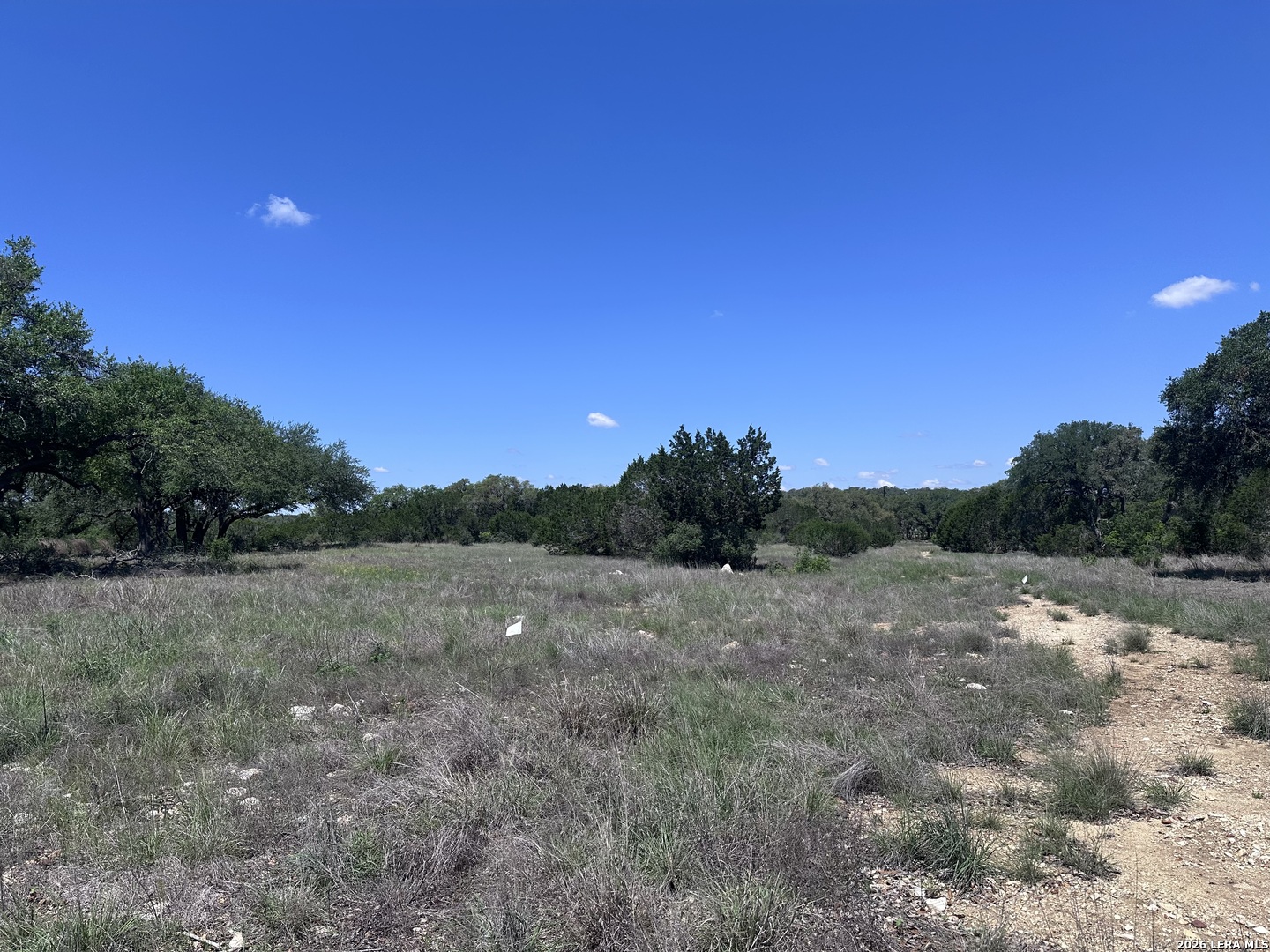 322 Serenity Pass Spring Branch, TX 78070 - Photo 3 of 13