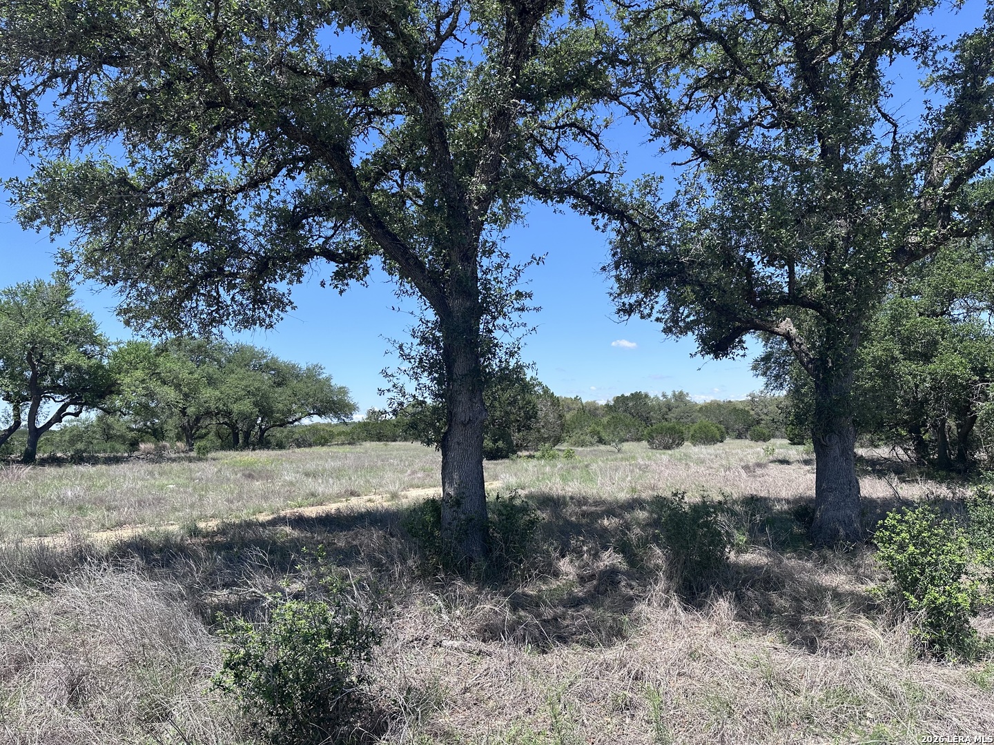 322 Serenity Pass Spring Branch, TX 78070 - Photo 5 of 13