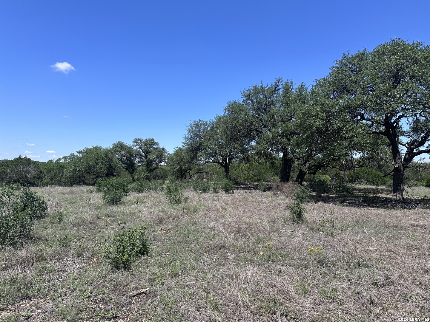 322 Serenity Pass Spring Branch, TX 78070 - Photo 6 of 13