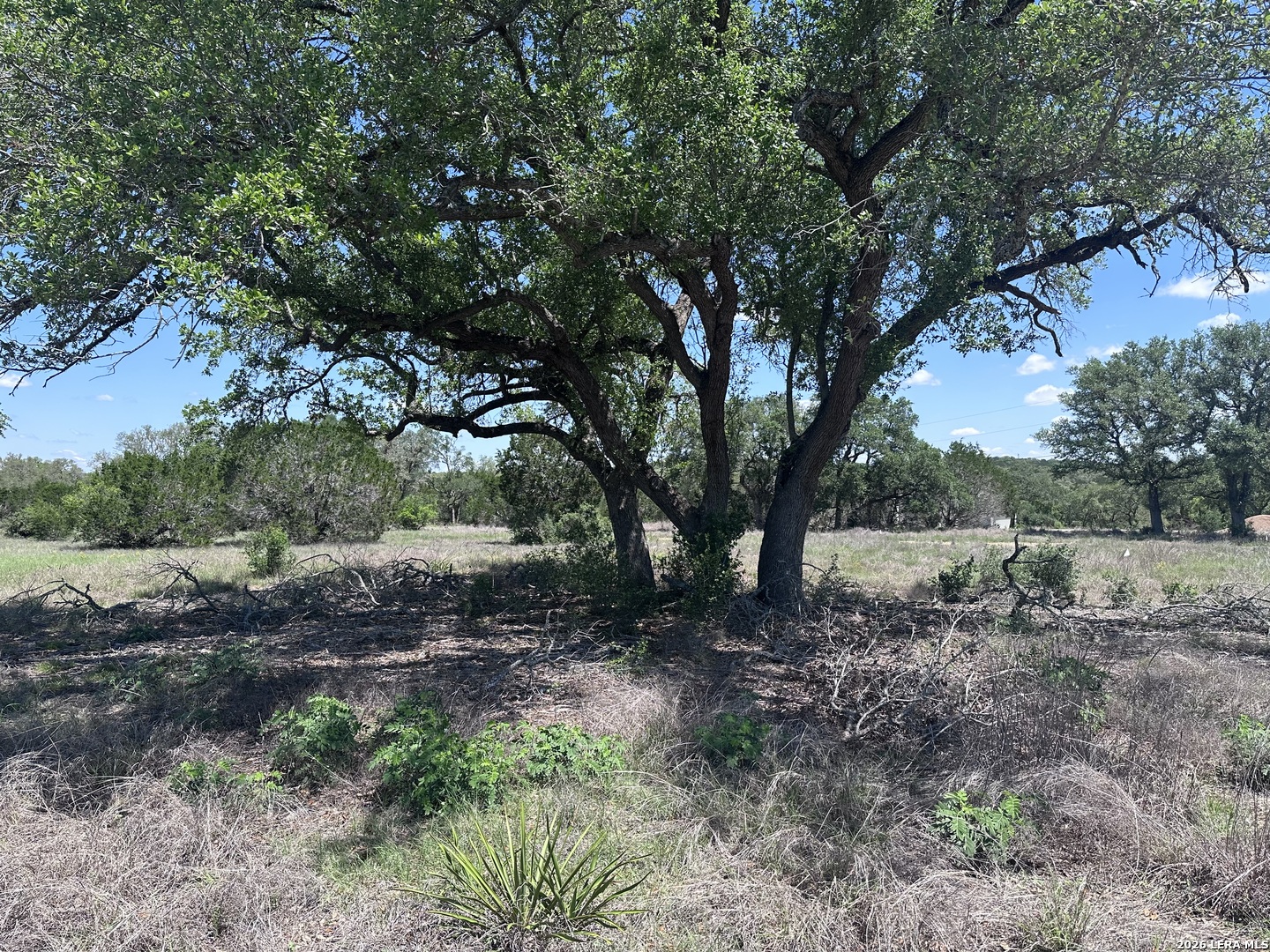 322 Serenity Pass Spring Branch, TX 78070 - Photo 7 of 13
