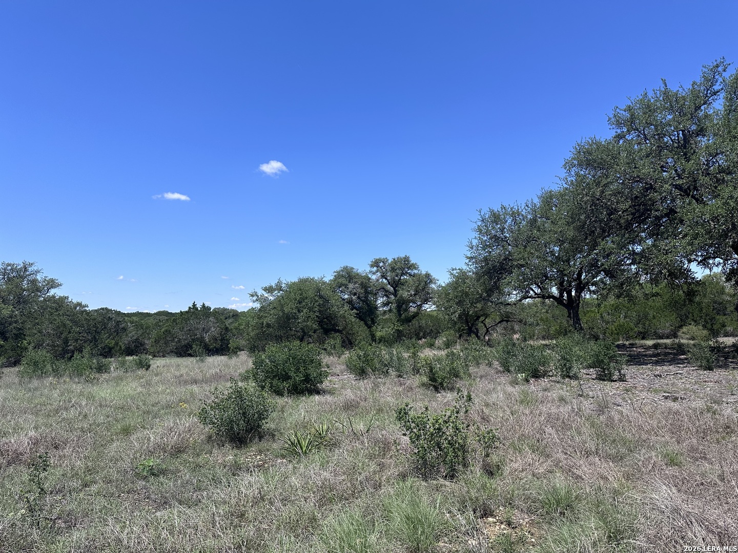 322 Serenity Pass Spring Branch, TX 78070 - Photo 8 of 13