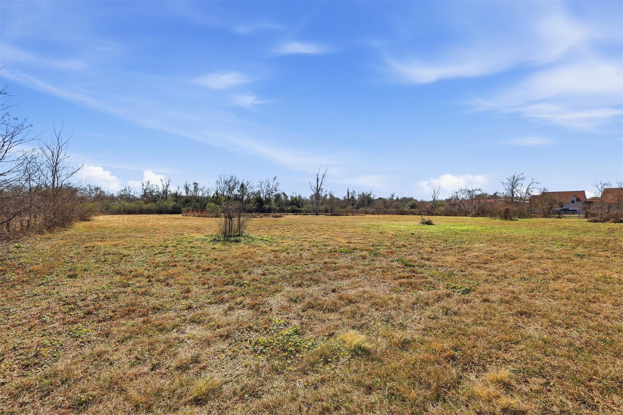 500 Burwell Road Highlands, TX 77562 - Photo 47 of 50 Plenty of open pasture offers space for animals to graze or for a variety of outdoor uses.