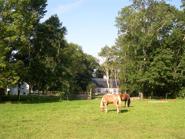 340 Neck Road Rochester, MA 02770 - Photo 8 of 30