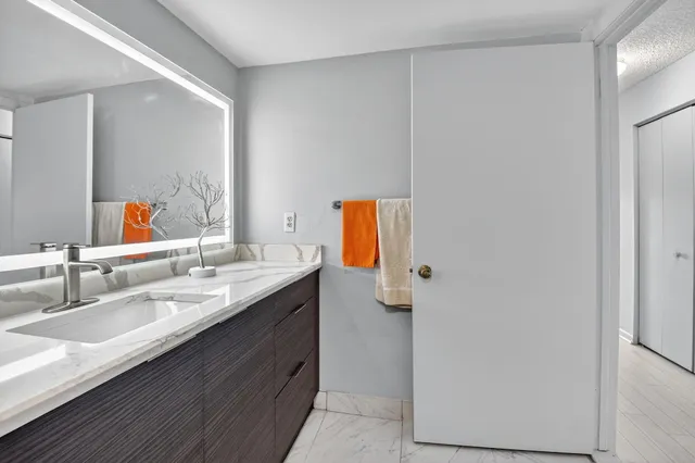 a view of a park with tree s