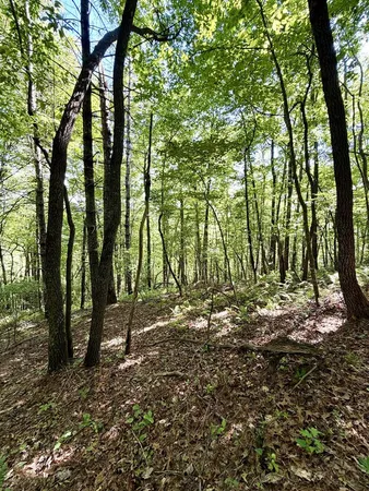 $48,000 | 675 Ed Graves Road, Murphy, NC 28906