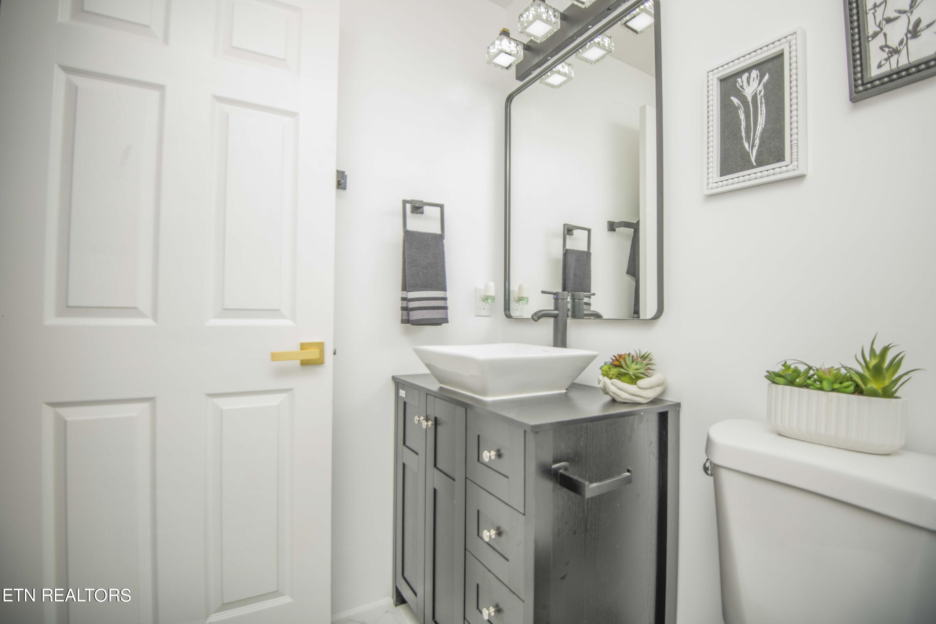 507 Oody Road Loudon, TN 37774 - Photo 22 of 38 master bath_1