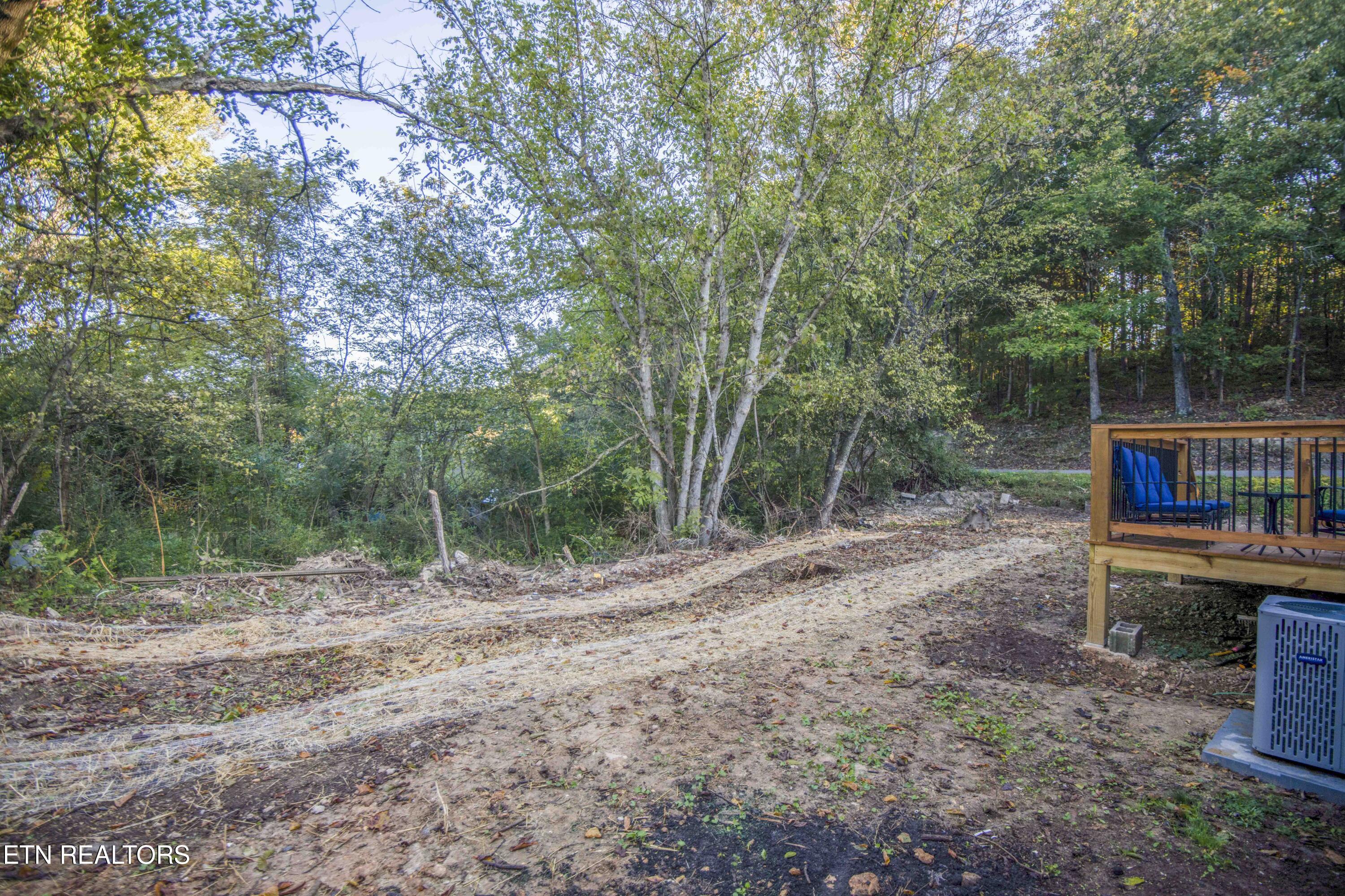 507 Oody Road Loudon, TN 37774 - Photo 37 of 38 yard 5_1