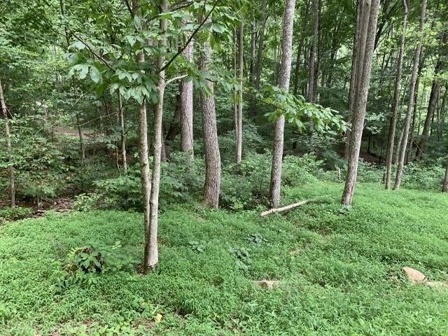 0 Gravely Hill Road Ripplemead, VA 24150 - Photo 24 of 25 Gallery Image 24