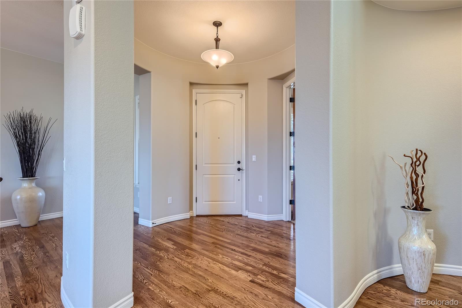 9359 Viaggio Way Highlands Ranch, CO 80126 - Photo 4 of 39