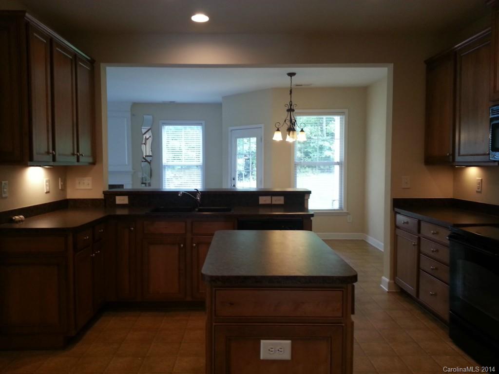 11020 Greenhead View Road Charlotte, NC 28262 - Photo 7 of 18 a kitchen with a sink cabinets and wooden floor