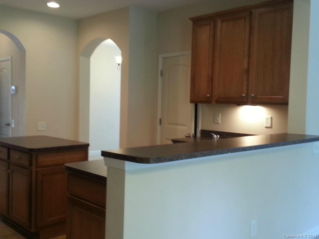 11020 Greenhead View Road Charlotte, NC 28262 - Photo 8 of 18 a kitchen with a sink and a mirror