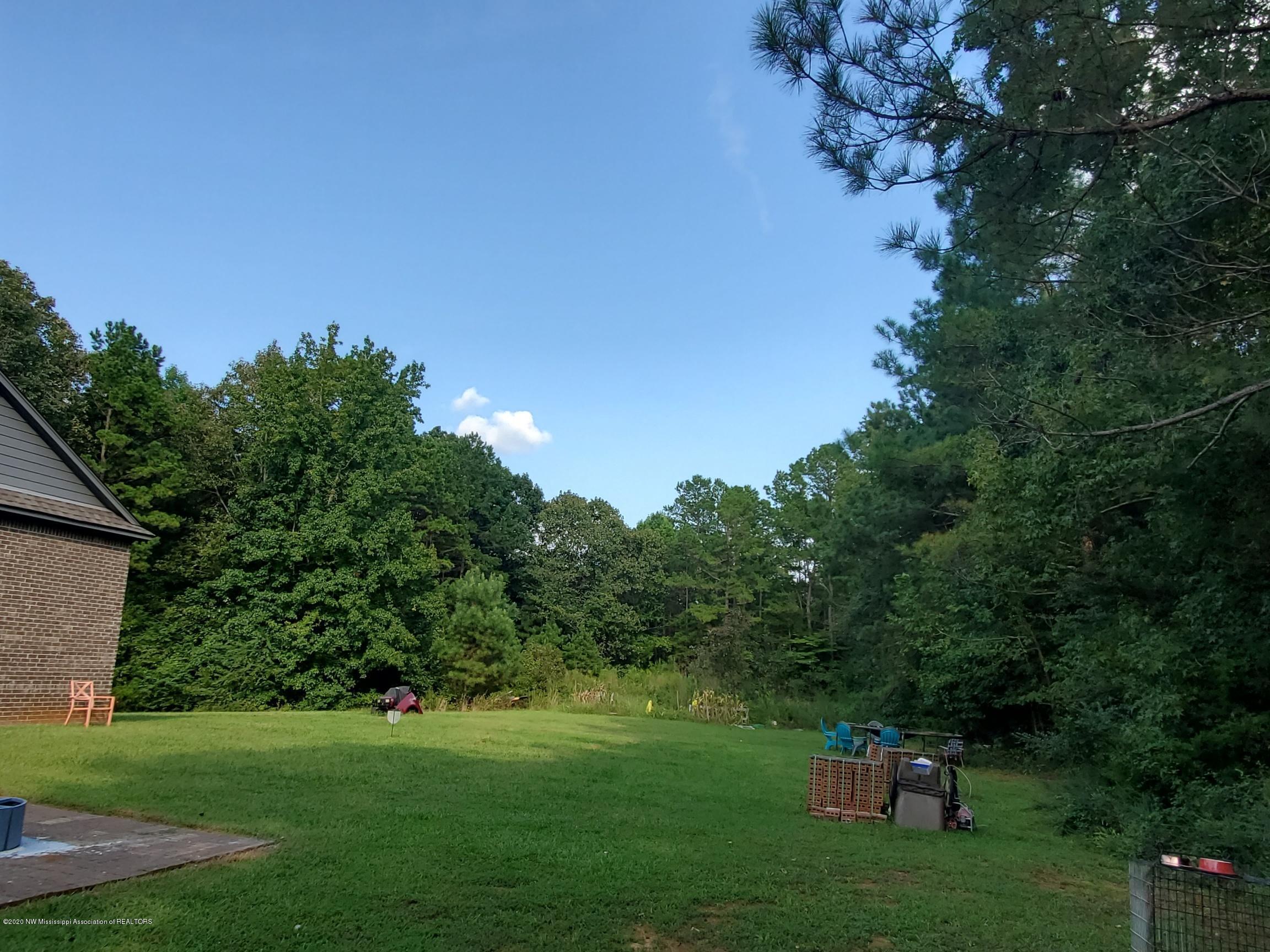 191 County Road 500 Ripley, MS 38663 - Photo 28 of 29 Huge backyard
