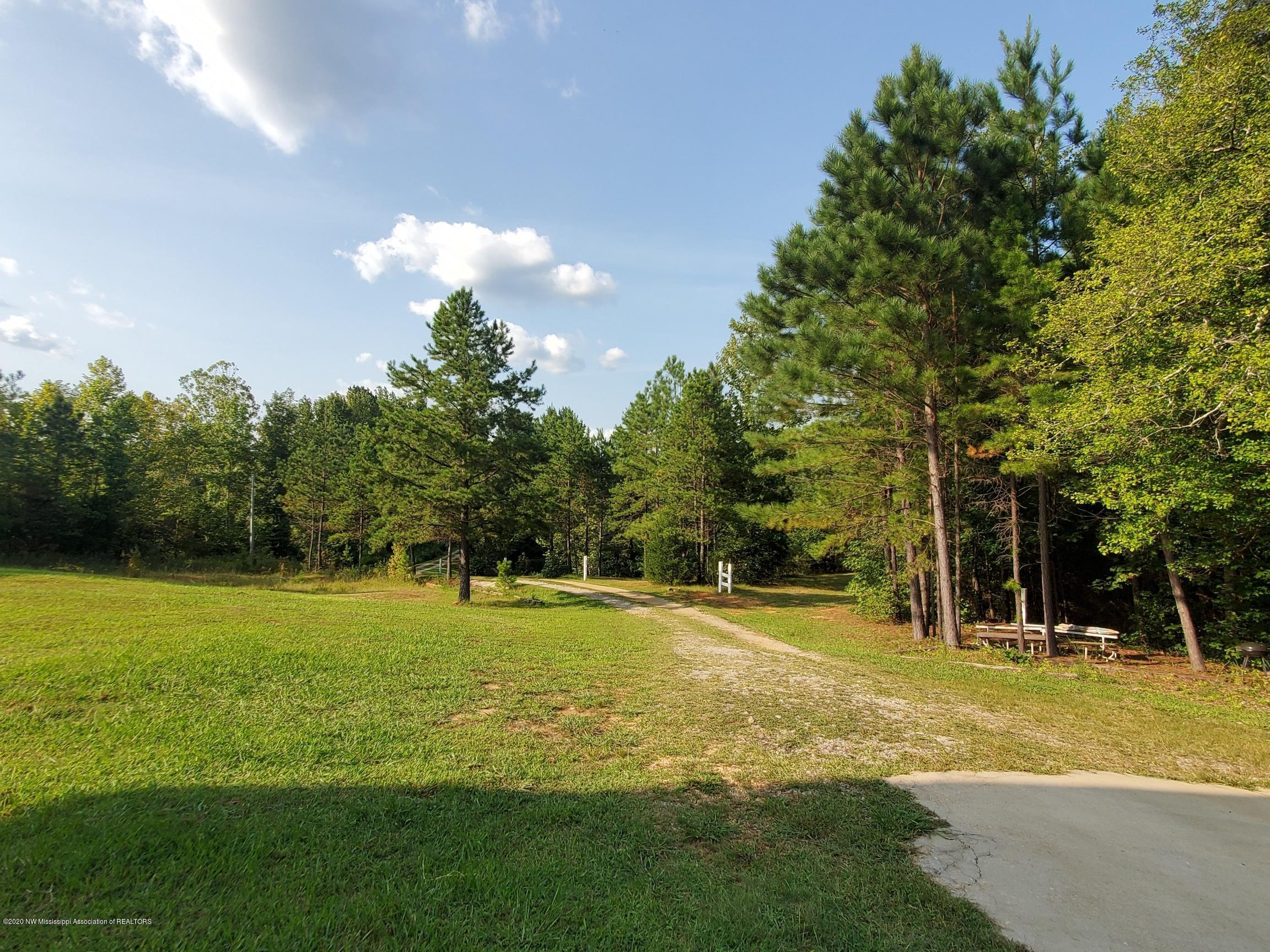 191 County Road 500 Ripley, MS 38663 - Photo 3 of 29 Nestled on 6.03 acres