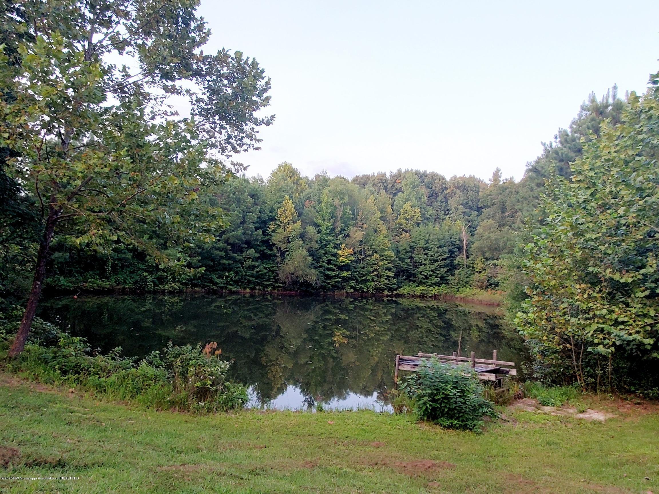 191 County Road 500 Ripley, MS 38663 - Photo 4 of 29 Fully Stocked Pond