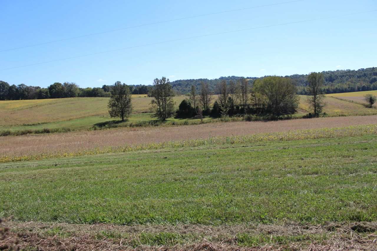Amber White Road Bowling Green, KY 42101 - Photo 11 of 20 Gallery Image 11