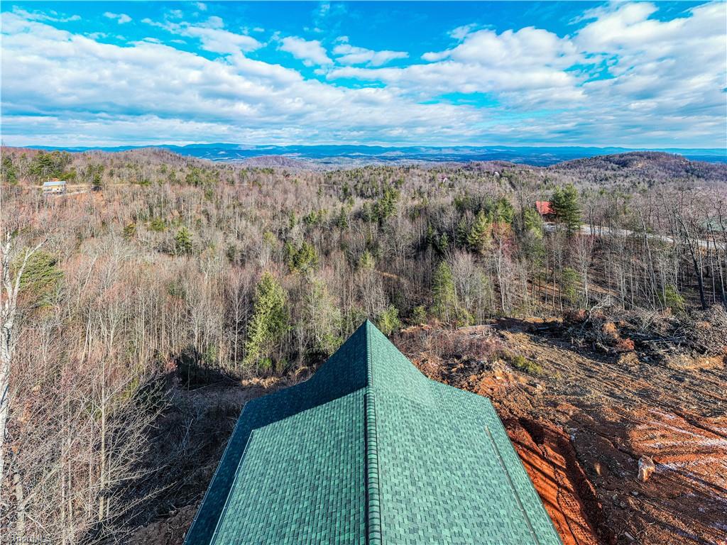 1910 Ridge Run Road Boomer, NC 28606 - Photo 4 of 32 Gallery Image 4