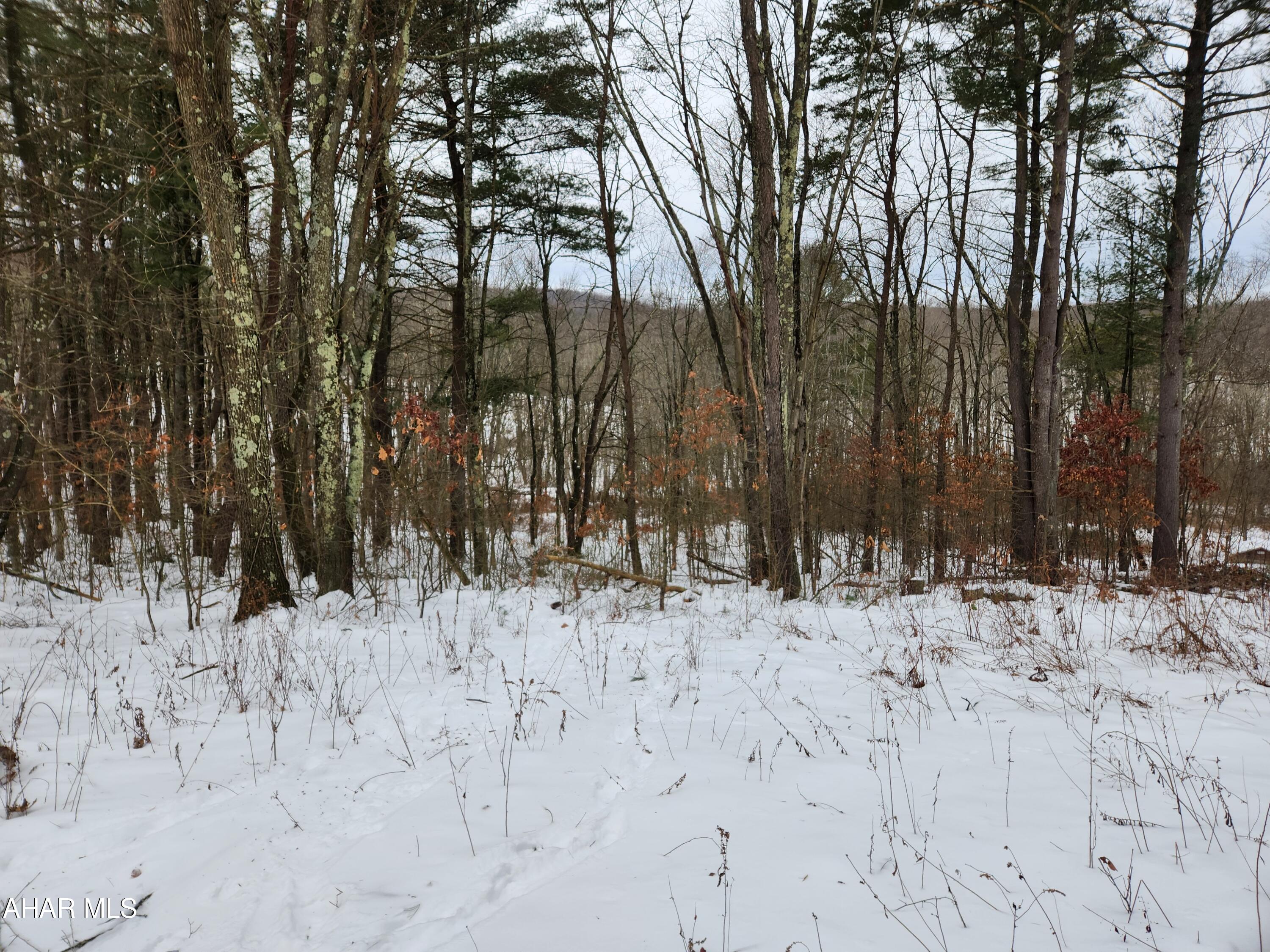Off Pensyl Hollow Road Bedford, PA 15522 - Photo 3 of 19 Gallery Image 3