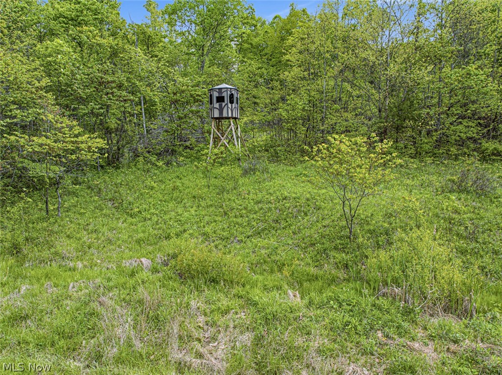 95-acres Newlon Road Malta, OH 43758 - Photo 15 of 18