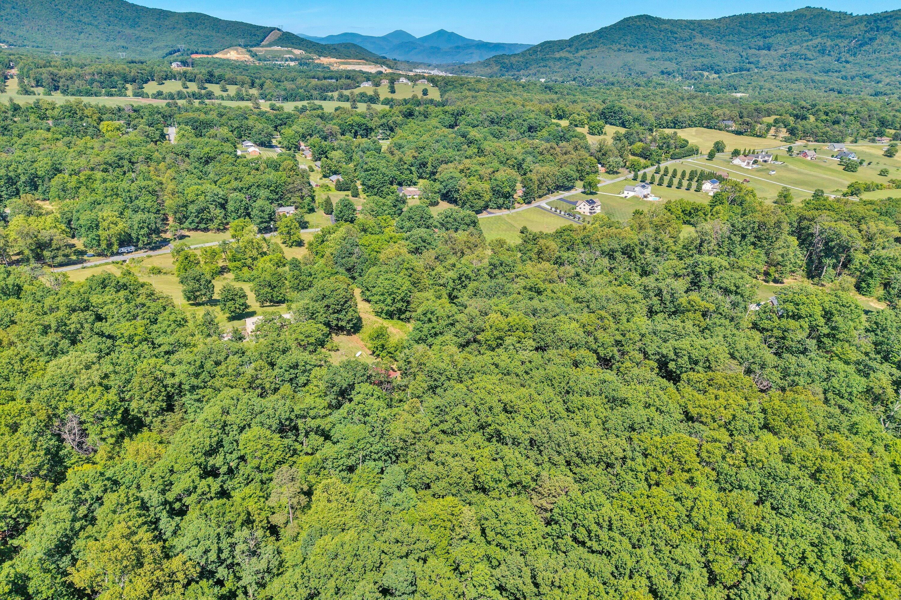 2241 Blue Ridge Springs Road Blue Ridge, VA 24064 - Photo 26 of 28 Aerial view