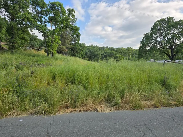 a view of a garden with a lake