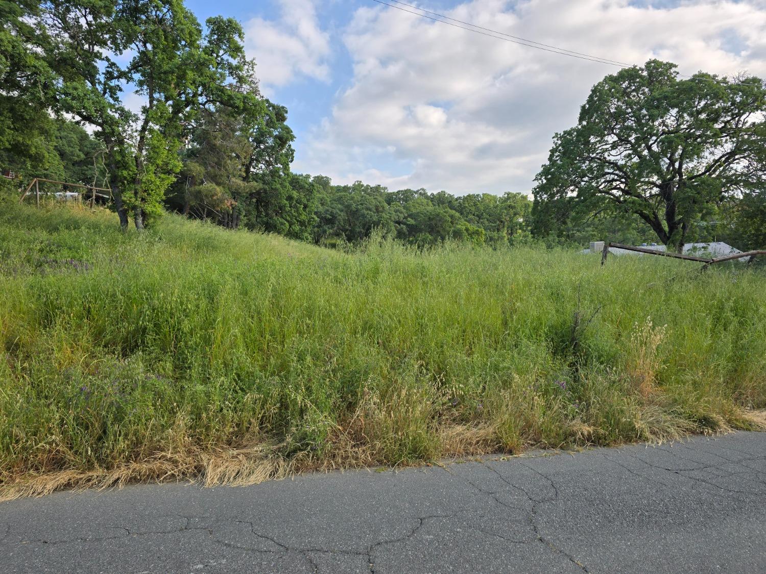 3474 Dunn Road Valley Springs, CA 95252 - Photo 3 of 4 a view of a garden with a lake