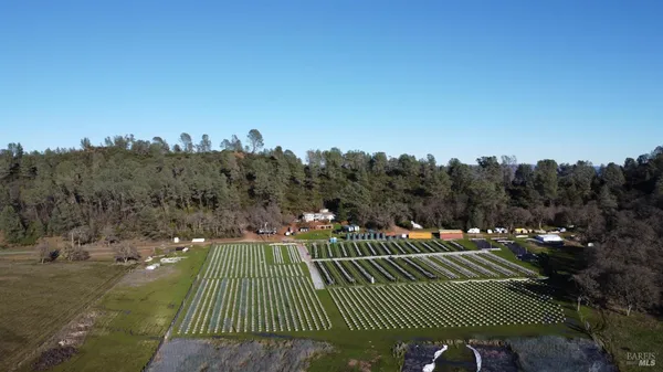 a view of a tennis court