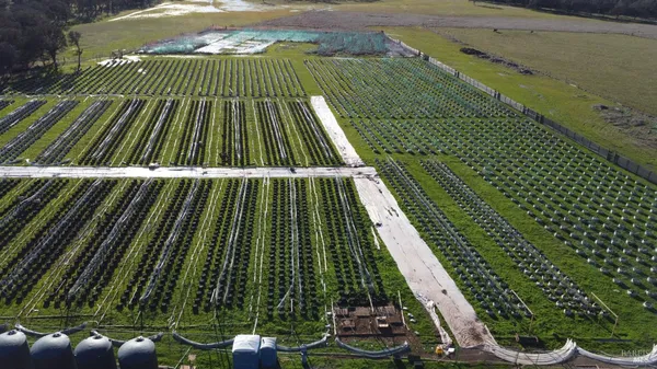 an aerial view of house with yard
