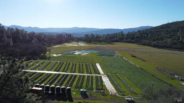 an aerial view of a yard