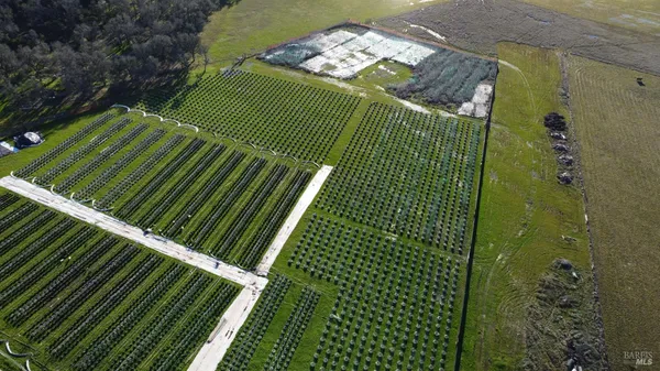 a view of outdoor space with garden view