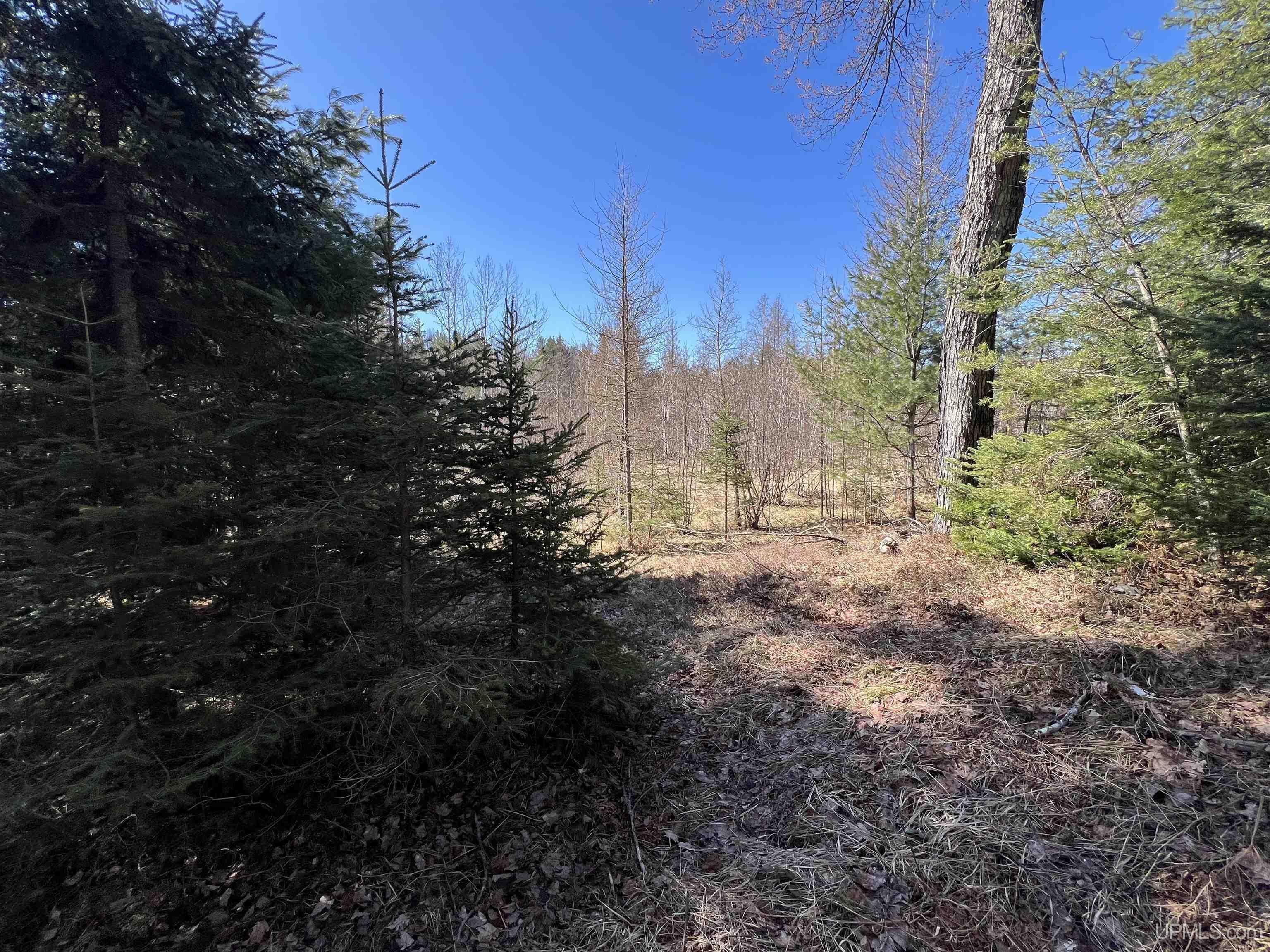 3250 West Co Road Negaunee, MI 49866 - Photo 24 of 26