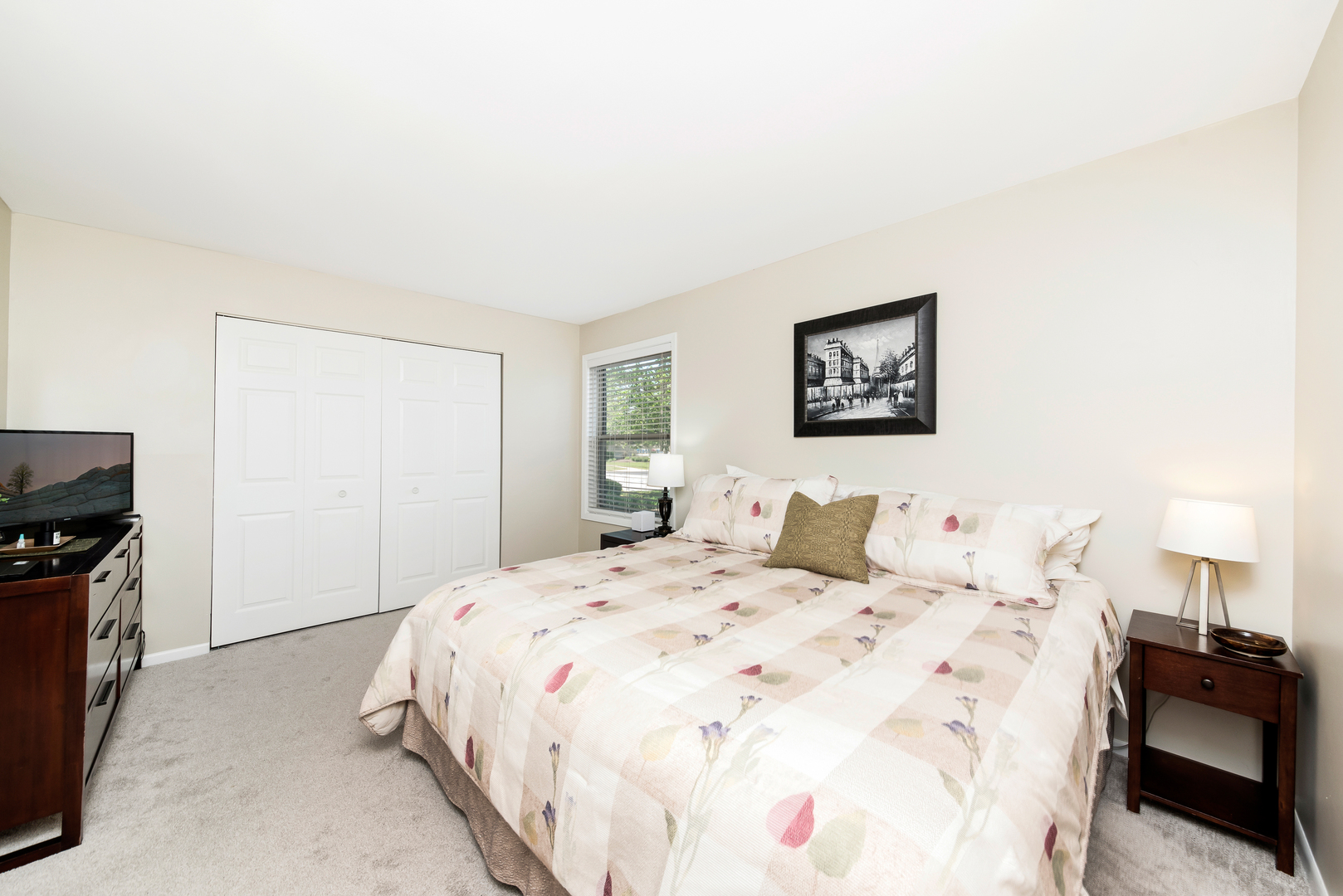 1364 McDowell Road, Unit 103 Naperville, IL 60563 - Photo 12 of 19 a bedroom with a bed and a tv