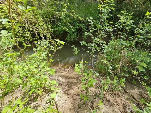 a backyard of a house with a tree