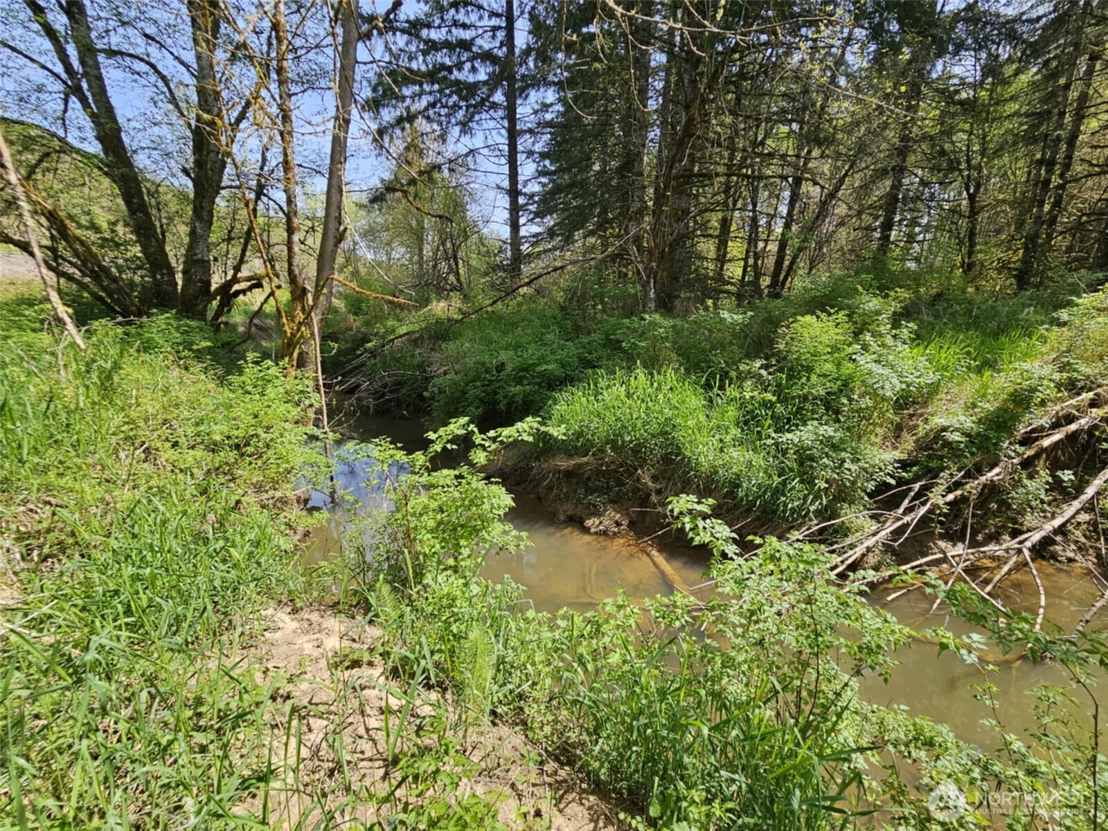 0 Lost Valley Road Curtis, WA 98538 - Photo 15 of 19 a backyard of a house with a yard and outdoor seating