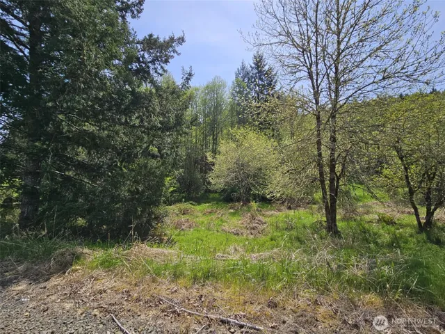 a big yard with lots of green space and house