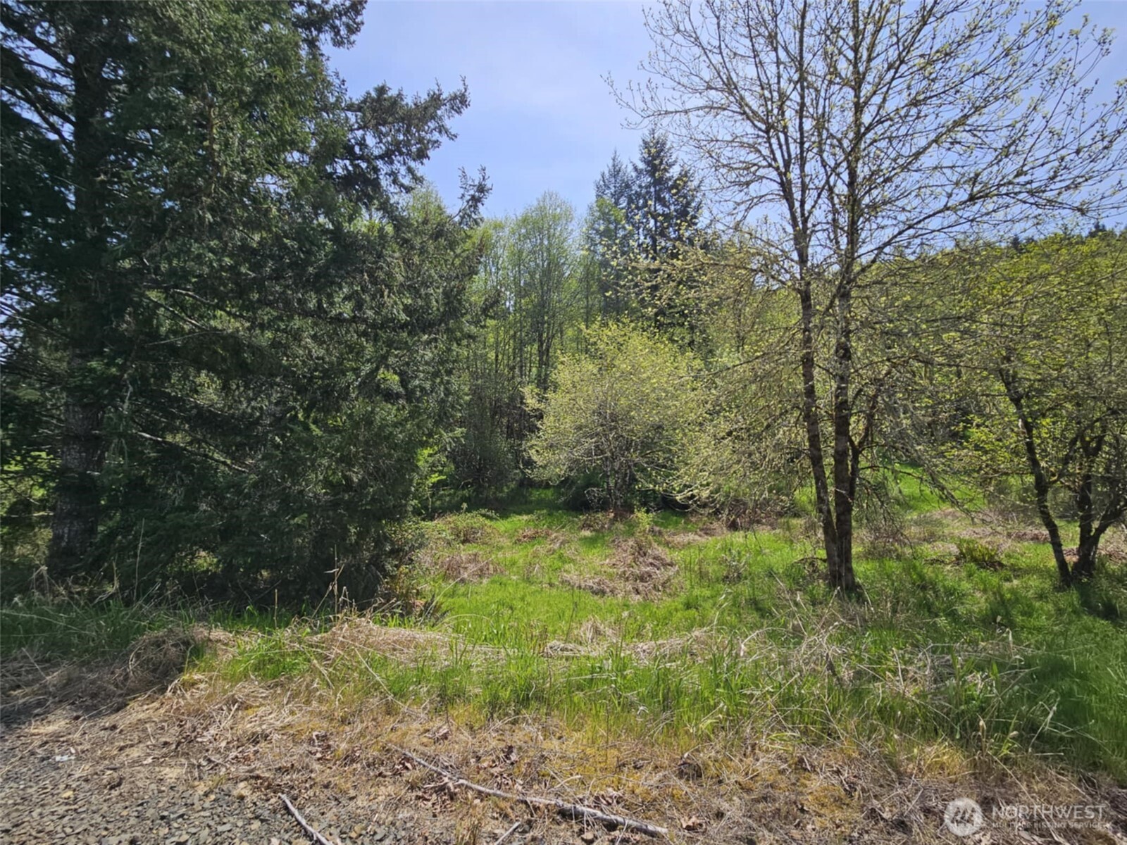 0 Lost Valley Road Curtis, WA 98538 - Photo 19 of 19 a big yard with lots of green space and house