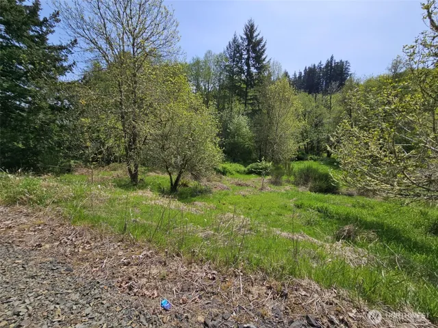 a view of a green field with lots of bushes