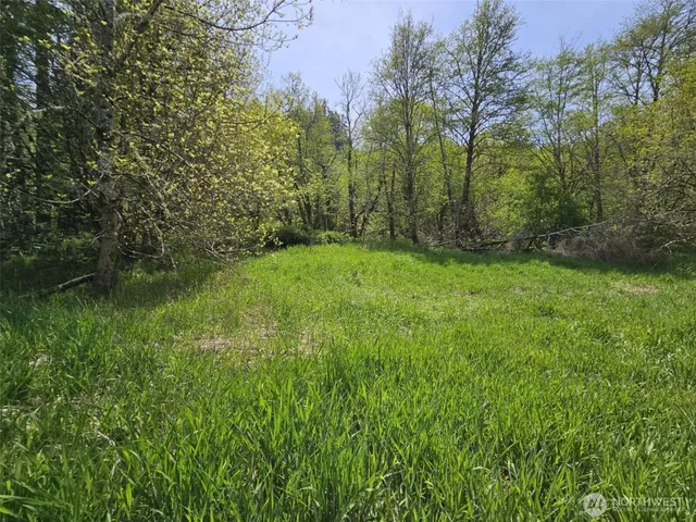 a view of a lush green space