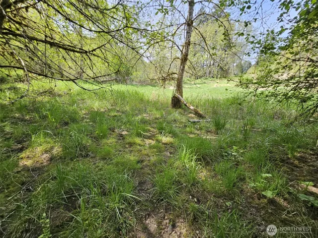 a view of yard with green space