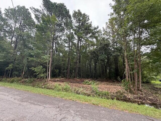 0 Society Road McClellanville, SC 29458 - Photo 3 of 7 thumbnail_IMG_0573
