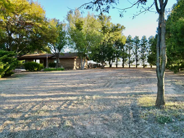 a view of a house with large tree next to a road