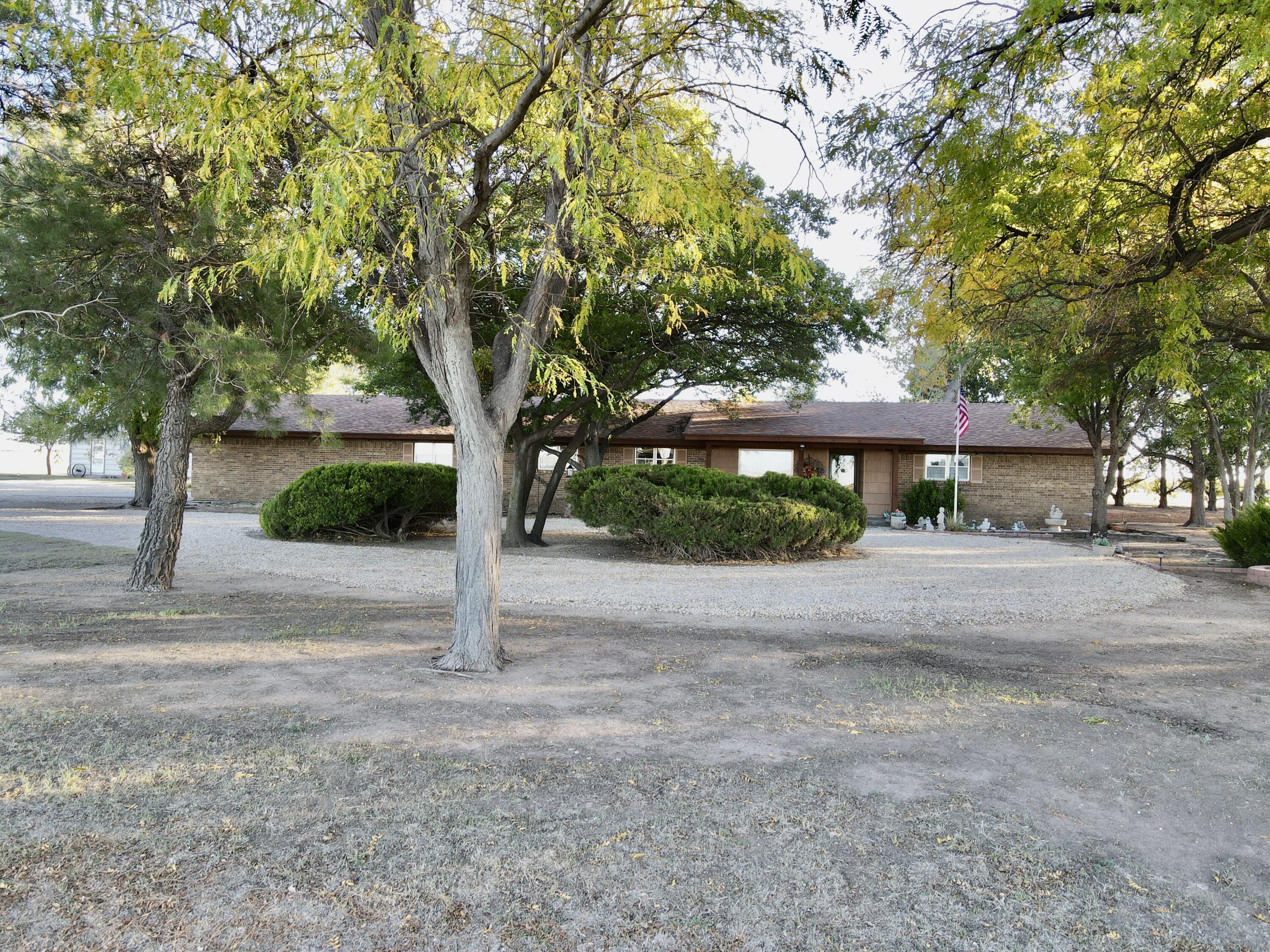 7844 Fm 1318 Tulia, TX 79088 - Photo 16 of 42 a view of a house with large tree next to a road