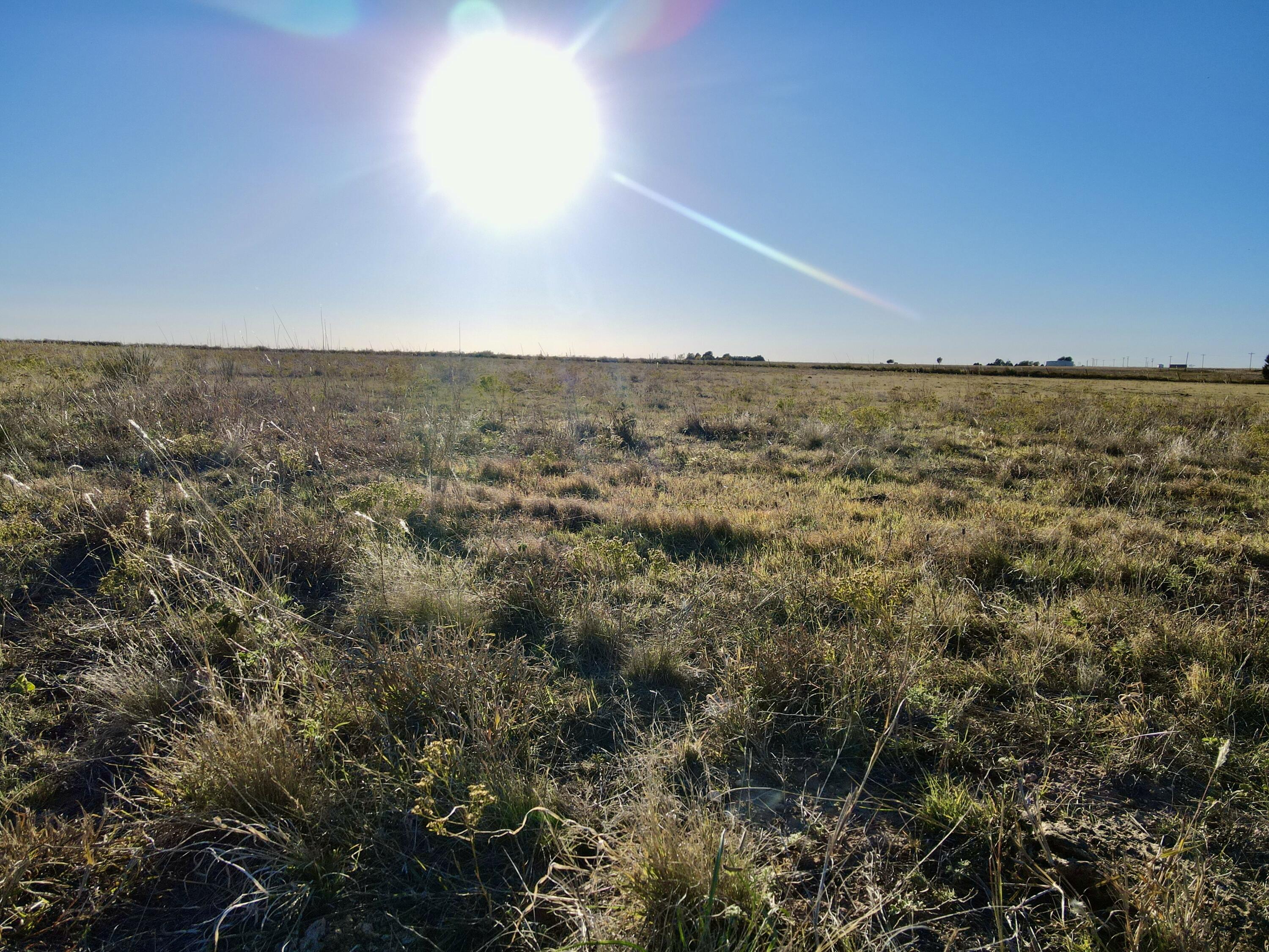 7844 Fm 1318 Tulia, TX 79088 - Photo 2 of 42 an aerial view of residential building and trees