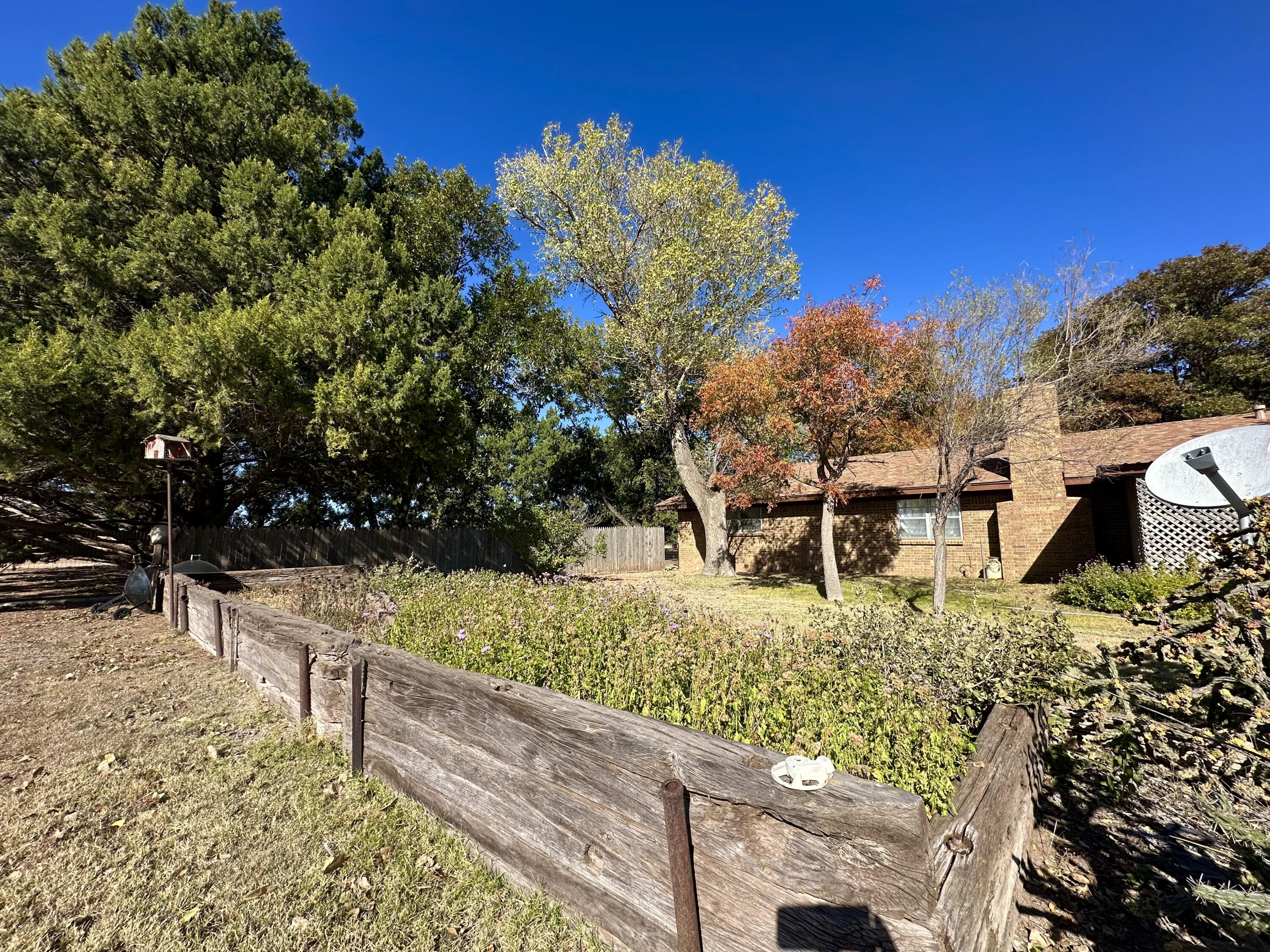 7844 Fm 1318 Tulia, TX 79088 - Photo 40 of 42 a view of a yard with plants