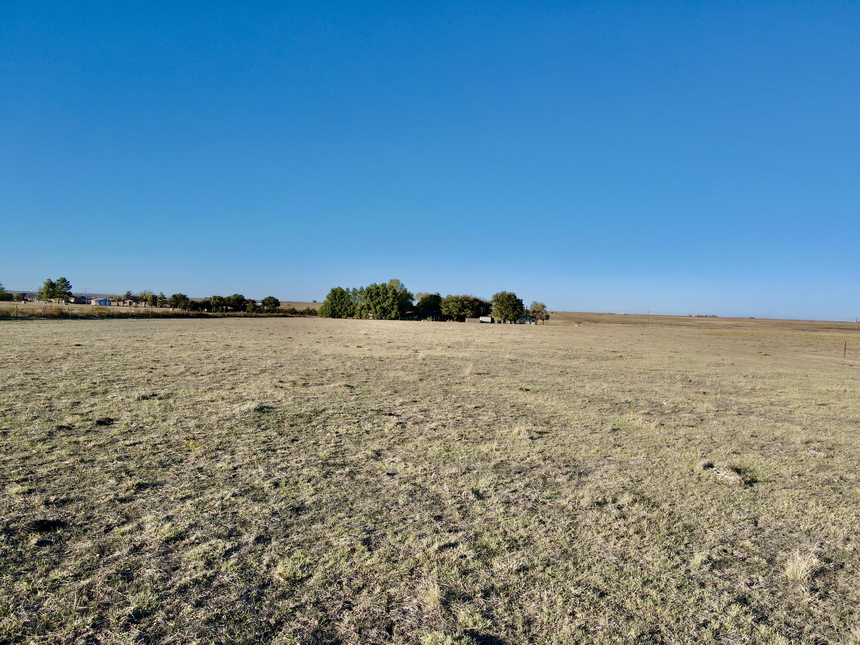 7844 Fm 1318 Tulia, TX 79088 - Photo 6 of 42