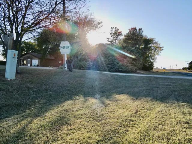 a view of a garden with trees