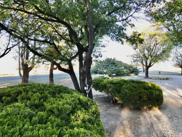 a view of a house with a tree