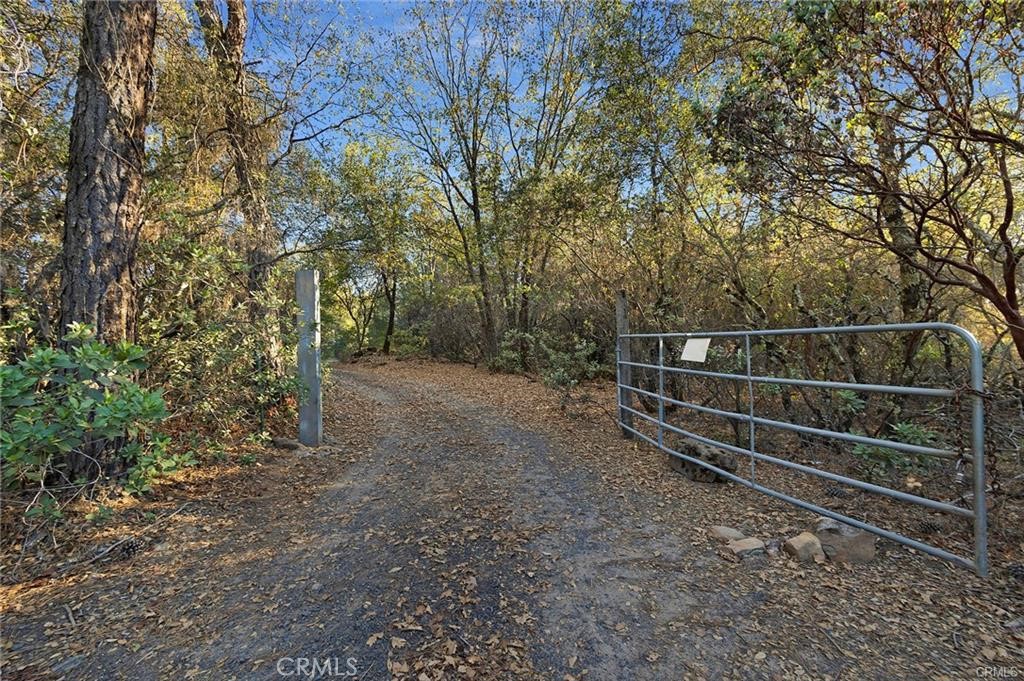0 Swedes Flat Road Bangor, CA 95914 - Photo 3 of 37