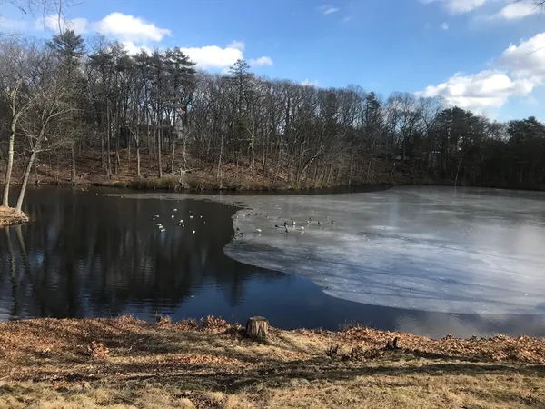 $859,900 | 707 South Street, Waltham, MA 02453