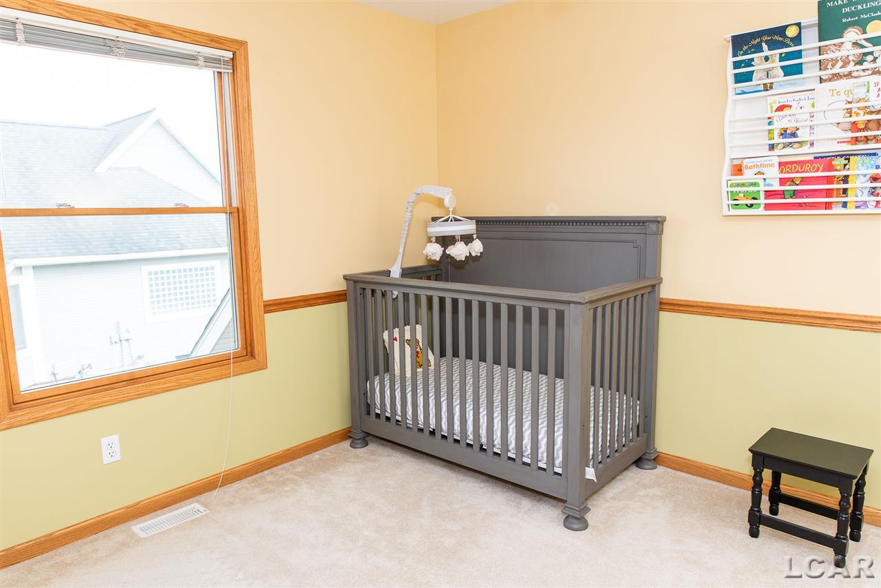 1258 Scott Ridge Drive Adrian, MI 49221 - Photo 43 of 51 31390152-42.JPG