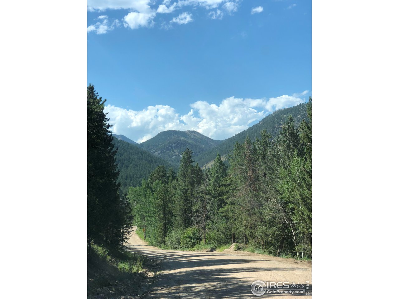 245 Hemlock Drive Lyons, CO 80540 - Photo 32 of 34 a view of a small yard